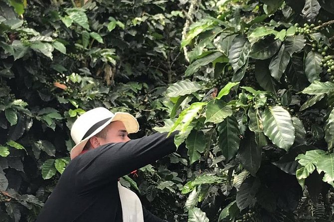 Coffee Tour - All Inclusive - Medellín - Meeting and Pickup Details