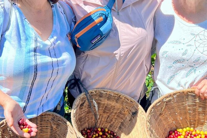 Coffee Tour and Jeep Tour at Finca Mariposa in Jardin - Tour Highlights
