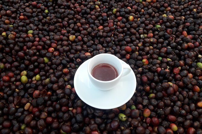 Coffee Tour and Lunch in Medellin - Meeting and Pickup Details