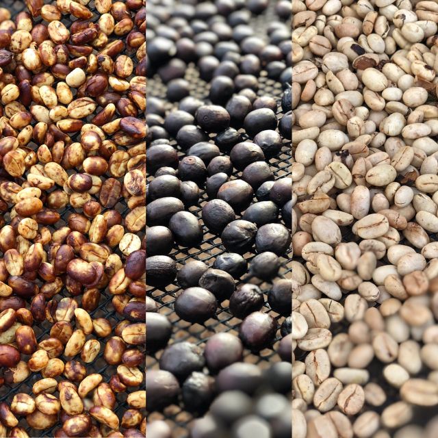 Coffee Tour and Salento Walking Tour With Lunch - Tour Details