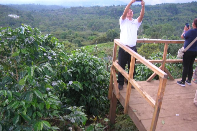 Coffee Tour and Thermal Waters - Meeting and Pickup