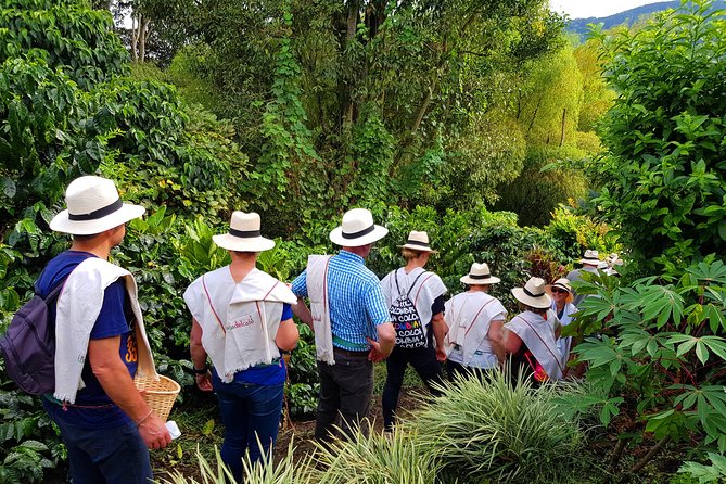 Coffee Tour at the Coffee Farm - Additional Information