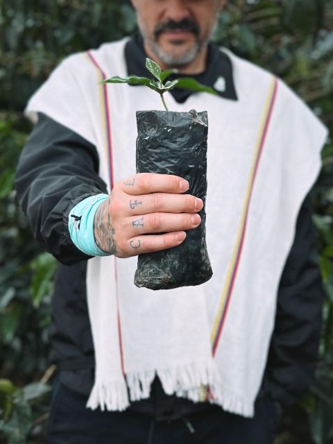 Coffee Tour in Garden Antioquia - From Medellín - Itinerary Details