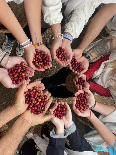 Coffee Tour in Garden Antioquia - From Medellín - Accessibility