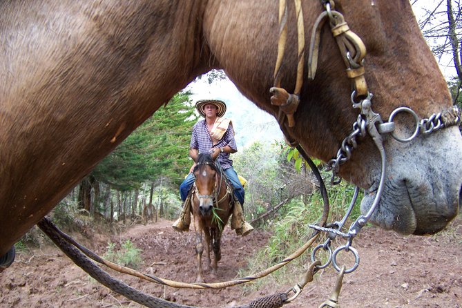 Coffee Tour In Horse Riding and Lunch In Medellin - Horseback Ride and Vista