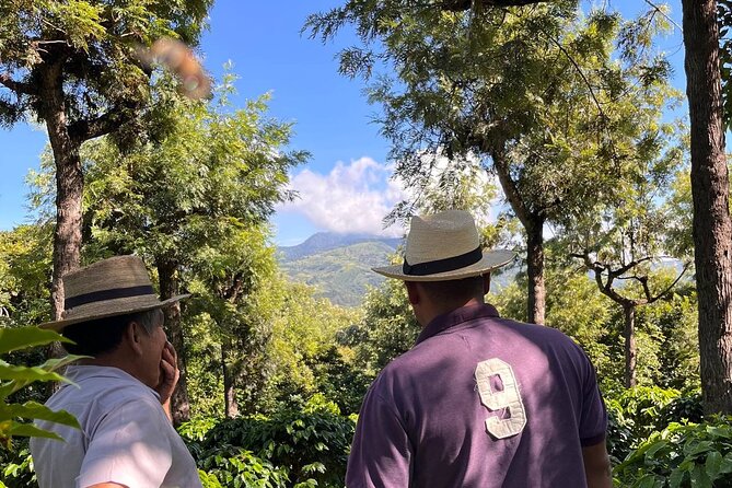 Coffee Tour in Sacatepéquez With Tasting - Accessibility and Group Size