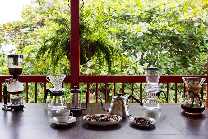 Coffee Tour in the Heart of the Coffee Region - Key Points
