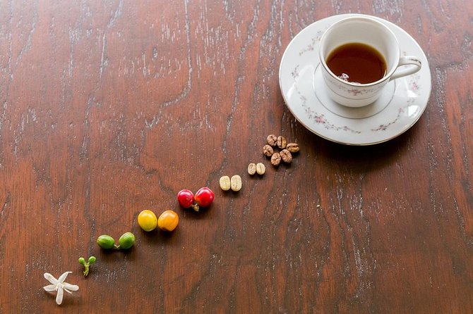 Coffee Tour in the Heart of the Coffee Region - Exploring the Coffee-Making Process