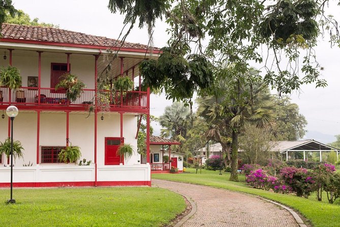 Coffee Tour in the Heart of the Coffee Region - Sustainability and Ethical Sourcing