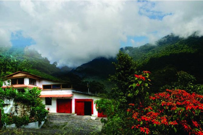 Coffee Tour La Victoria and Waterfalls in Minca - Private Tour - Key Points