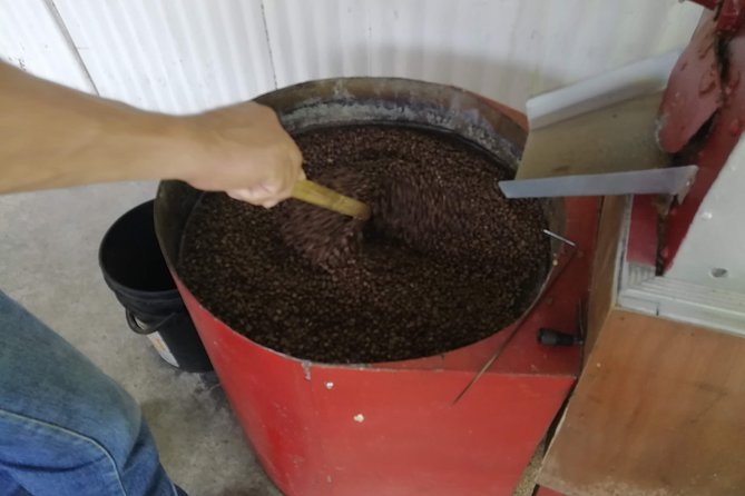 Coffee Tour La Victoria and Waterfalls in Minca - Private Tour - Pozo Azul Waterfall