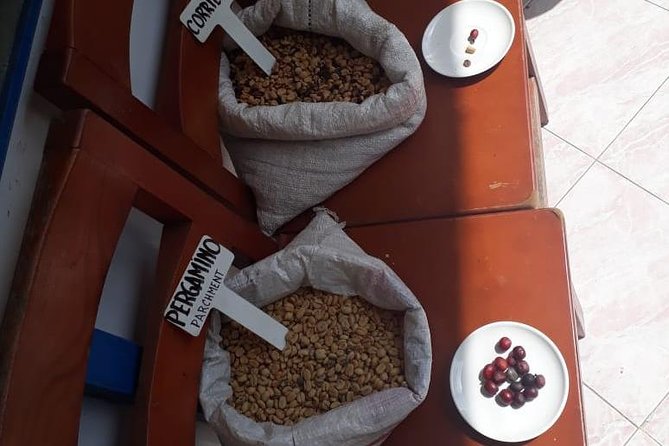 Coffee Tour Medellin - Key Points