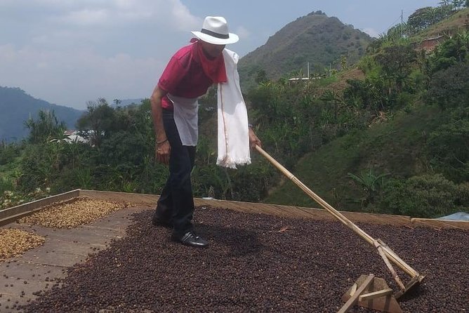 Coffee Tour Medellin - Tasting and Sampling