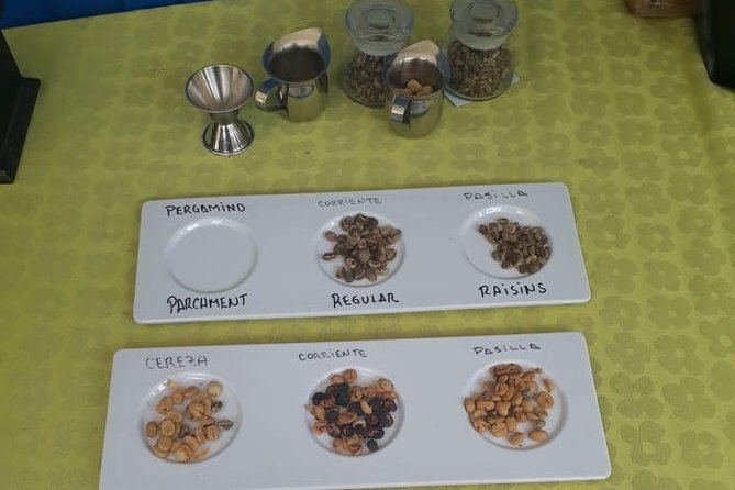 Coffee Tour Medellin - Local Culture Immersion