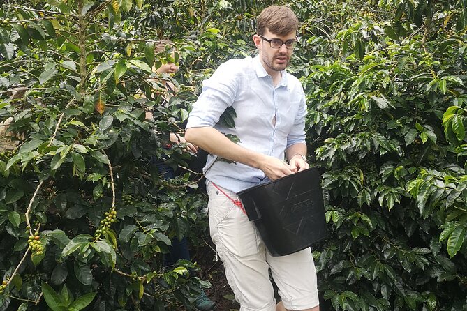 Coffee Tour Medellin - Practical Information