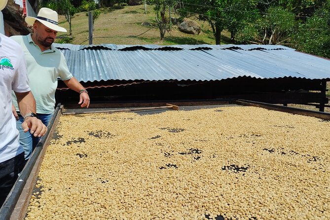 Coffee Tour Medellin - Booking Information