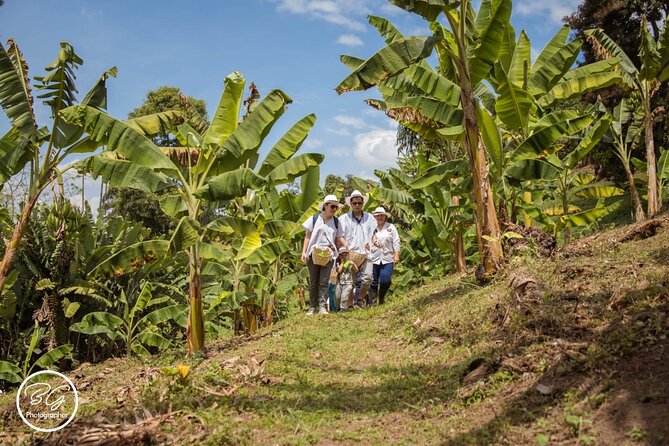 Coffee Tour - Mountains, Delicious Cups and Smiles - Key Points