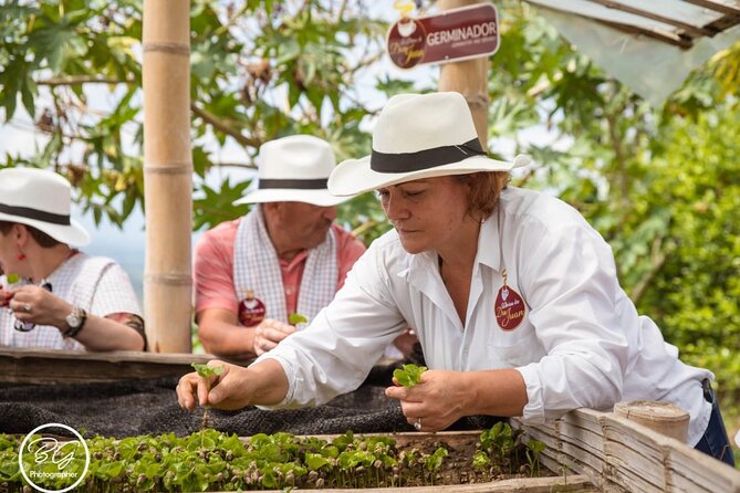 Coffee Tour - Mountains, Delicious Cups and Smiles - Understanding the Coffee Production Process