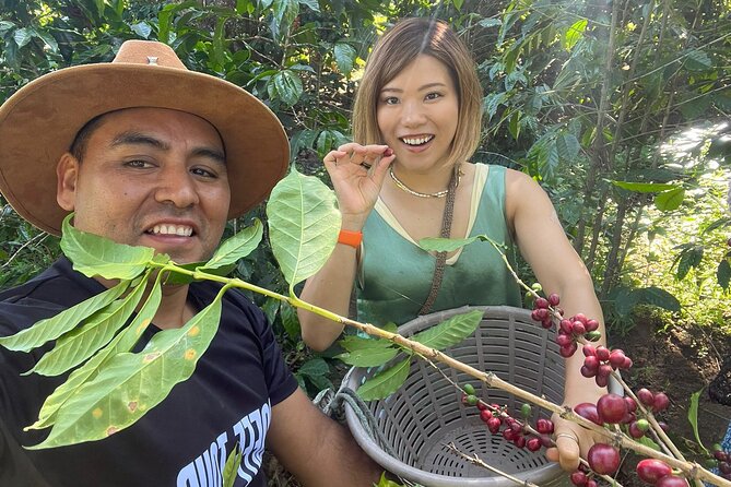 Coffee Tour Near the Agua Volcano With Tasting - Key Points