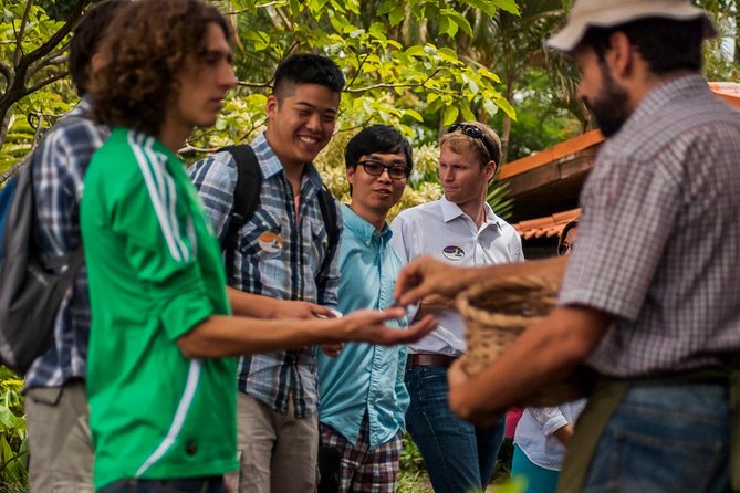 Coffee Tour + Poás Volcano Experience From San José - Accessibility and Policies