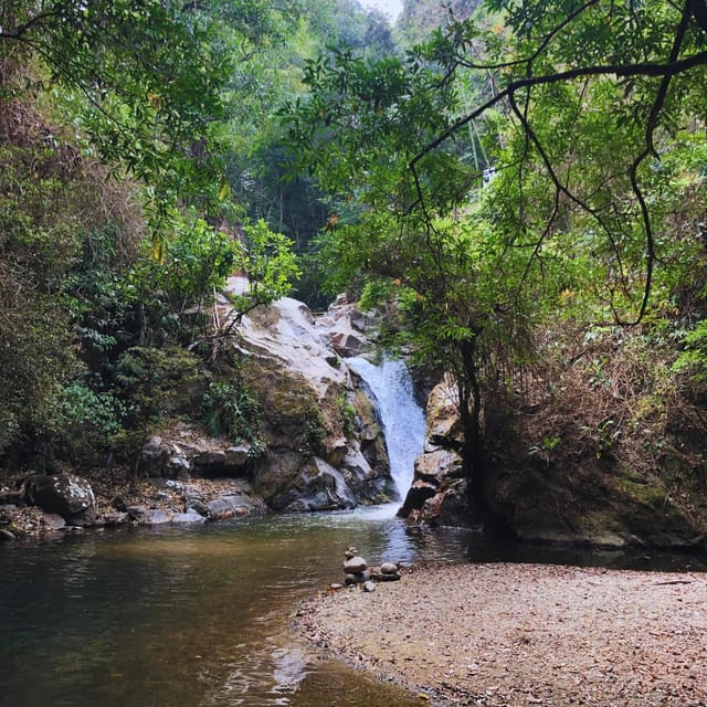 Coffee Tour Rout in Minca: Coffe Farm + Waterfall Excursion - Detailed Tour Description