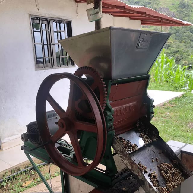 Coffee Tour & Tasting: Authentic Local Farm - Itinerary and Location