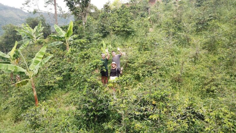 Coffee Tour & Tasting: Authentic Local Farm - Booking and Cancellation