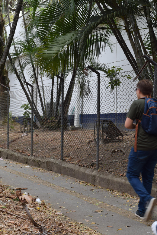 Coffee Tour Trough Laureles - Key Points