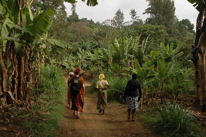Coffee Walk With Stay in the Village - Immersive Coffee Experience