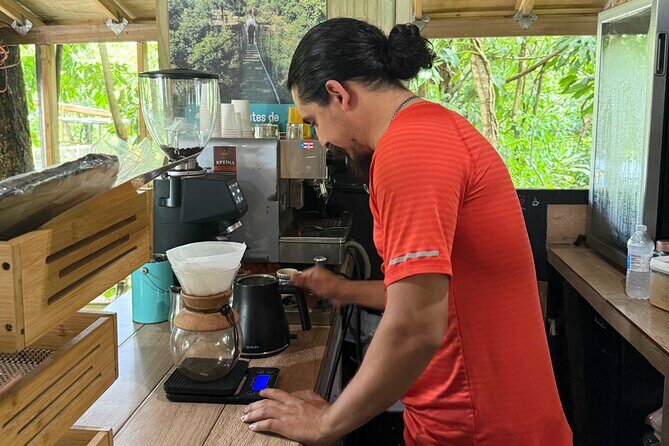 Coffee & Waterfalls Tour: from the mountains to the cup - What Our Reviewers Say
