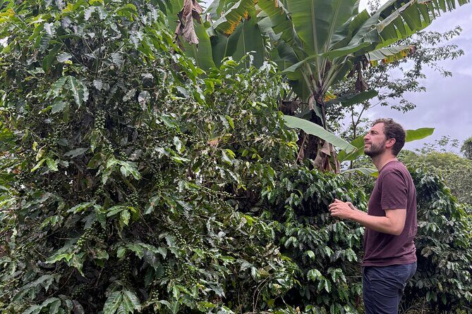 Coffee & Waterfalls Tour: from the mountains to the cup - The Sum Up