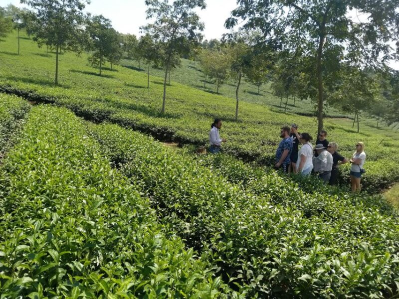Coffee - Wine - Tea Da Lats Agricultural Treasures Tour - Mai Anh Church Visit