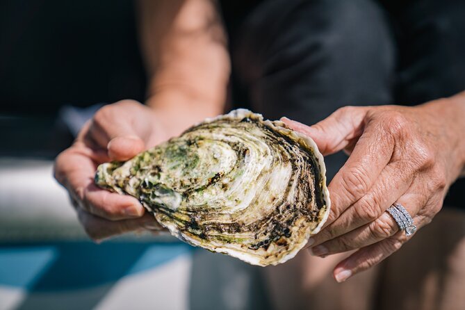 Coffin Bay Day Tour - A Taste of Coffin Bay - Positive Experiences