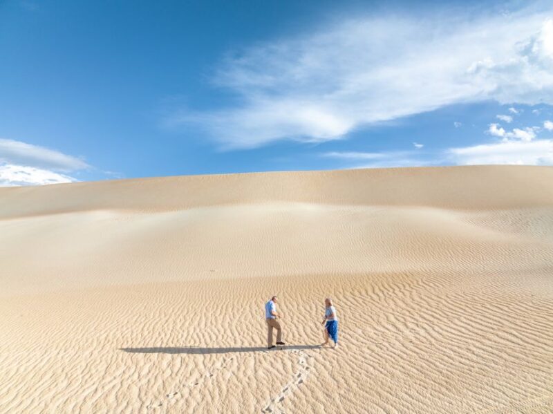 Coffin Bay National Park: Highlights and Off-Road 4WD Tour - Experience Highlights