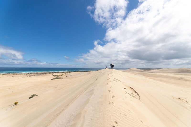Coffin Bay National Park: Highlights and Off-Road 4WD Tour - Customer Reviews