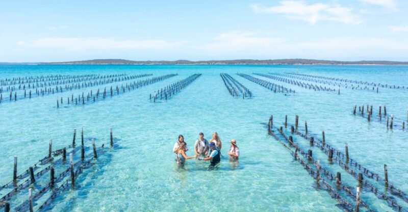 Coffin Bay: Oyster Farm Boat Tour With Wading & 12 Oysters - Starting Location and Itinerary