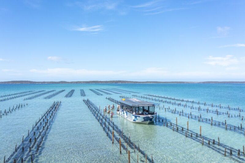 Coffin Bay: Oyster Farm Boat Tour With Wading & 12 Oysters - Sightseeing Cruise Overview