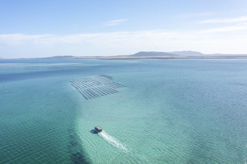 Coffin Bay: Oyster Farm Boat Tour With Wading & 12 Oysters - Guided Tour and Activities