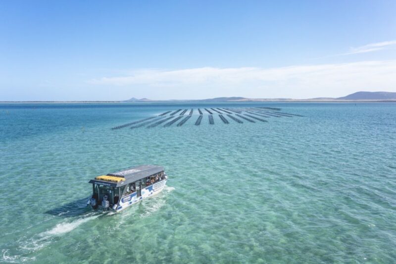 Coffin Bay: Oyster Farm Boat Tour With Wading & 12 Oysters - Taste Freshly Shucked Oysters