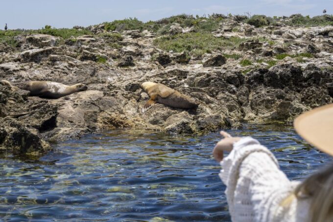 Coffin Bay: Oyster Farm Boat Tour With Wading & 12 Oysters - Exploring Coffin Bay National Park