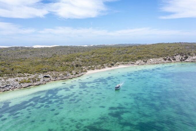 Coffin Bay: Oyster Farm Boat Tour With Wading & 12 Oysters - Local Marine Life Spotting