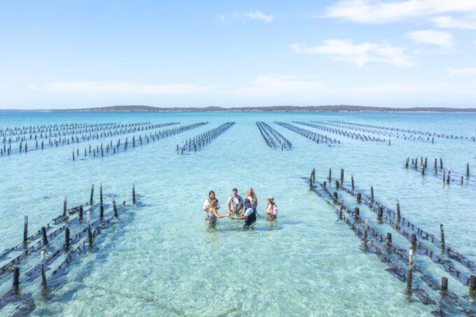 Coffin Bay: Oyster Farm Boat Tour With Wading & 12 Oysters - Meeting Point and Inclusions