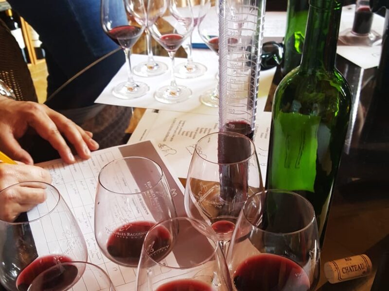 Cognac Distillery and Bordeaux Winery: Private Tour - Key Points
