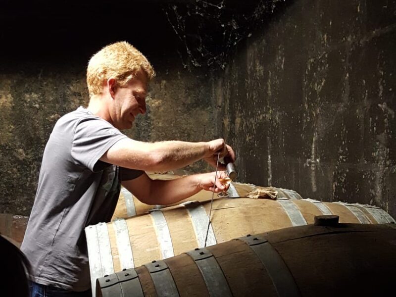 Cognac Distillery and Bordeaux Winery: Private Tour - Bordeaux Wine Tasting