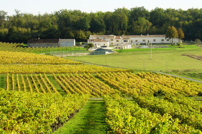Cognac Masterclass & Tasting - Expert Guidance and Feedback