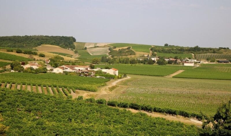 Cognac Private Guided Walking Tour - Civil War Relived