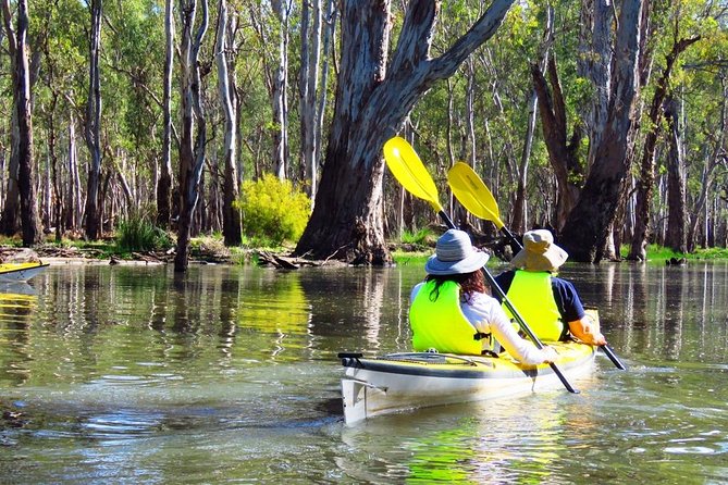 Cohuna Lagoon 3 Hour Kayak Eco Tour - Wildlife Highlights