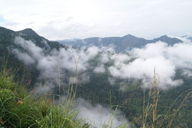 Coimbatore to Ooty- Transfers+Hotel+Sightseeing - Strolling Through Botanical Gardens