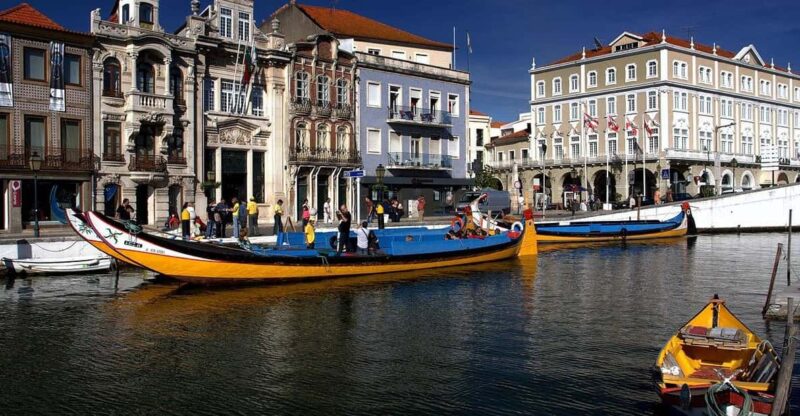 Coimbra & Aveiro Experience: From Porto All-Included - Experience and Cultural Insights