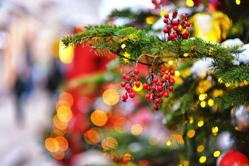 Coimbra Christmas Magic: A Festive Family Exploration - Festive Highlights